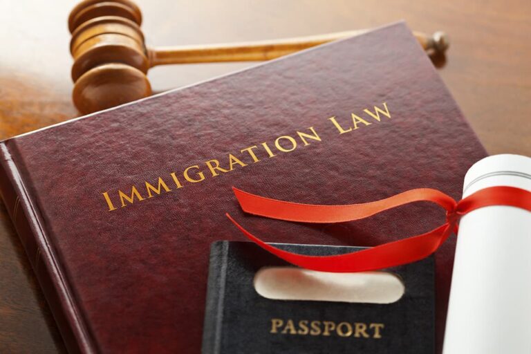 HR Bill 875 - DUI and Immigration Law in Collision. Driving Under the Influence charges will become more problematic for criminal defense and immigration lawyers if House of Representatives Bill 875 passes as written.