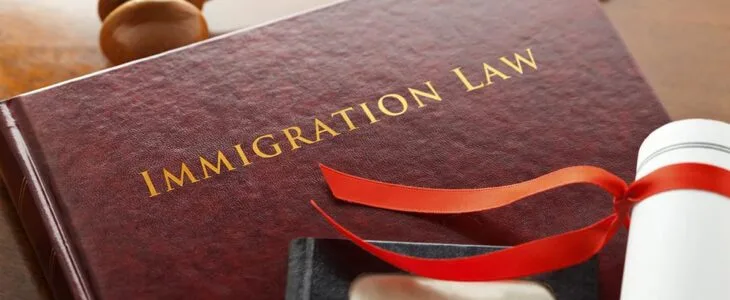 HR Bill 875 - DUI and Immigration Law in Collision. Driving Under the Influence charges will become more problematic for criminal defense and immigration lawyers if House of Representatives Bill 875 passes as written.